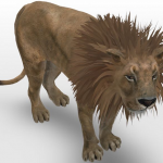 خاصية safari للتصوير مع الحيوانات