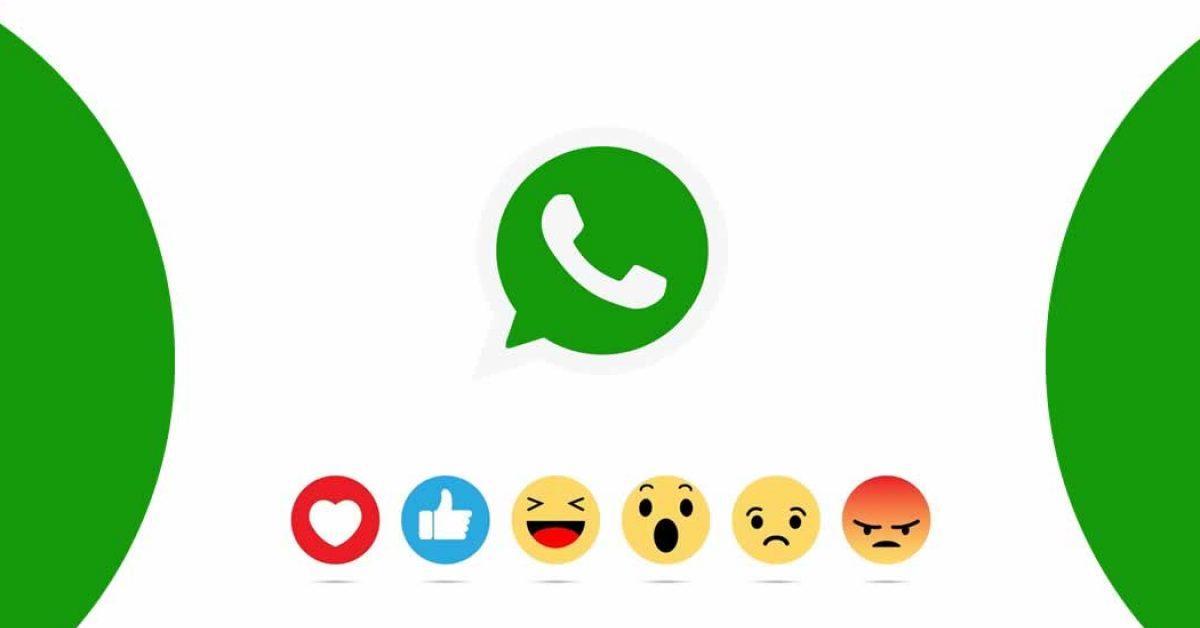 تعطيل تنبيهات التفاعل مع رسالتك على واتساب