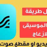 برنامج حذف الموسيقى من الفيديو