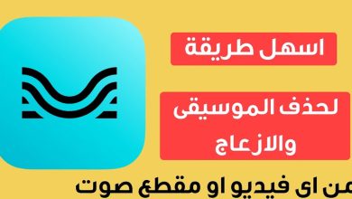 برنامج حذف الموسيقى من الفيديو