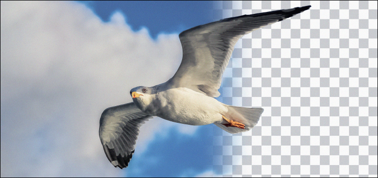 استخراج أي شخص من الصورة